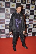 Bali Brahmabhatt at Radio Mirchi music awards red carpet in Mumbai on 7th Feb 2013 (100).JPG
